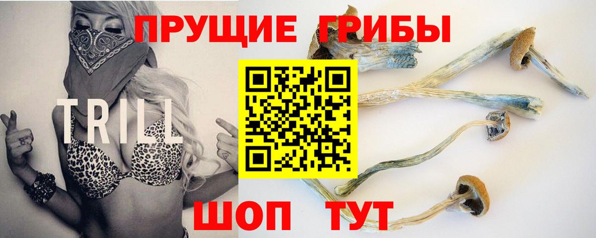 Галлюциногенные грибы мицелий  Вход с VPN  Новочеркасск 
